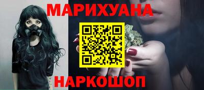 сатива Новозыбков