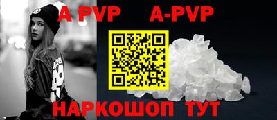 сатива Новозыбков