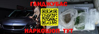 сатива Новозыбков