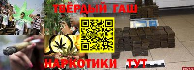 сатива Новозыбков